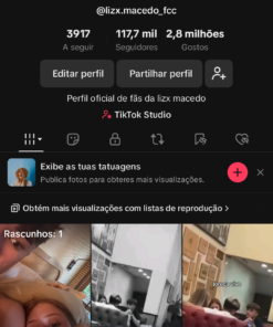 CONTA TIK TOK 118k- lizx.macedo_fcc