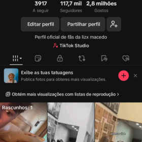CONTA TIK TOK 118k- lizx.macedo_fcc