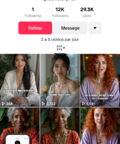 Conta Tiktok 12K Full França monetizada Rpm euro de 0.40 a 0.70