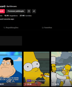 Canal do Tiktok 15k Seguidores - Melhor preço