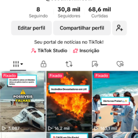 Conta TIKTOK MONETIZADA 30.8K Seguidores 68.6K Curtidas