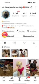 ???? CONTA KWAI COISAS MAIS FOFAS QUE VAO VER 3,1 MIL DE SEGUIDOR 2,2 MIL CURTIDAS - Animais