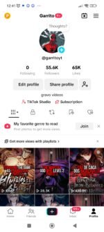 Conta do tiktok com 55 mil seguidores, trabalhar com artista liberado- Desmonetizada
