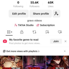 Conta do tiktok com 55 mil seguidores, trabalhar com artista liberado- Desmonetizada