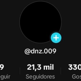 Conta de TikTok 21.3K Seguidores 330K Curtidas