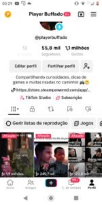 Vendo Conta Monitizada tiktok super engajada Games em Geral 55K - Imagem 3