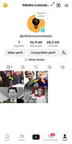 Tikok Monetizado - Nicho Curiosidades 56.9K Seguidores 28.3K Curtidas