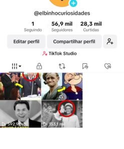 Tikok Monetizado - Nicho Curiosidades 56.9K Seguidores 28.3K Curtidas