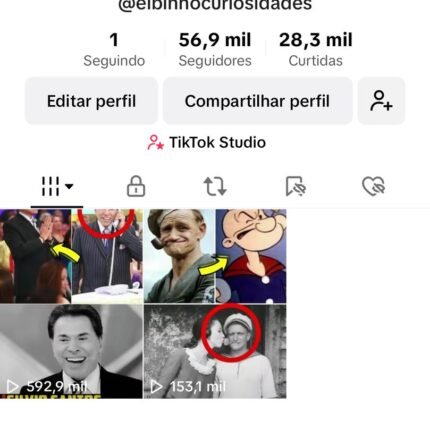 Tikok Monetizado - Nicho Curiosidades 56.9K Seguidores 28.3K Curtidas