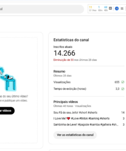 Canal Youtube Tiktok - 14.266 Inscritos