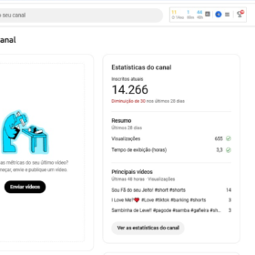 Canal Youtube Tiktok - 14.266 Inscritos