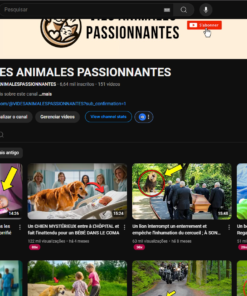 Canal Dark Monetizado (RPM DE 23 REAIS) -Histórias de Animais - FRANCÊS