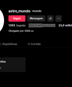 Uma conta no tiktok com 486 mil Seguidores