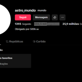 Uma conta no tiktok com 486 mil Seguidores
