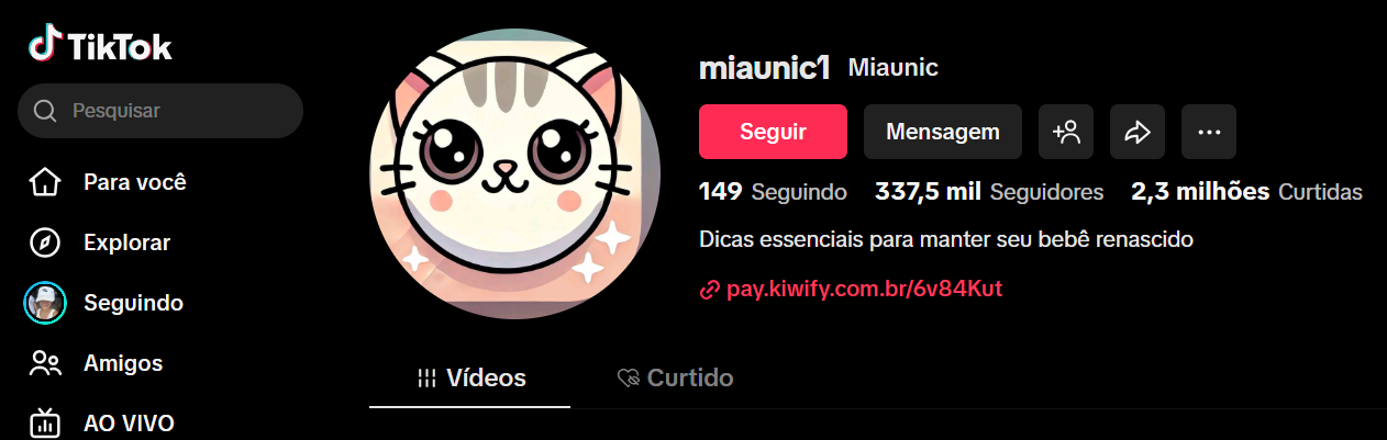 Captura de tela 2026-03-25 144831 CONTA TIKTOK MONETIZADA | 337K+ SEG | 2,3 MILHÕES CURT | PERFIL GRANDE E ESCALÁVEL🚀 - Imagem 1