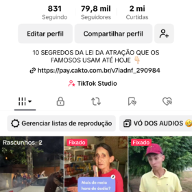 Perfil tiktok 79.8K Seguidores 2M Curtidas