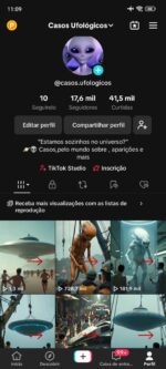 Vendo conta do TIKTOK MONETIZADA 17K recentemente, a mesma foi criada no dia 05 de janeiro.