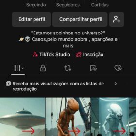 Vendo conta do TIKTOK MONETIZADA 17K recentemente, a mesma foi criada no dia 05 de janeiro.