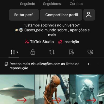 Vendo conta do TIKTOK MONETIZADA 17K recentemente, a mesma foi criada no dia 05 de janeiro.