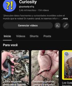 Conta YouTube Curiosity com mais de 3 mil inscritos