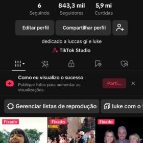 Perfil no Tiktok 840 Mil Seguidores