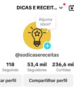 Conta do Tiktok Monetizada com 53 Mil Seguidores