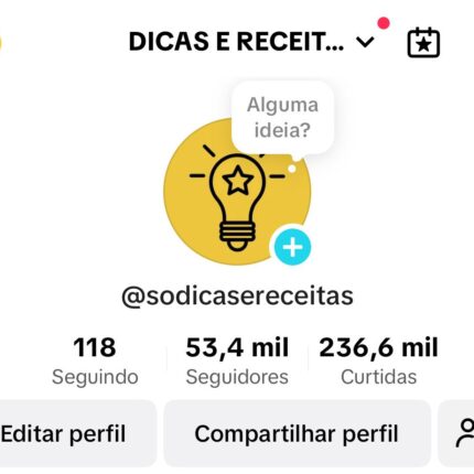 Conta do Tiktok Monetizada com 53 Mil Seguidores