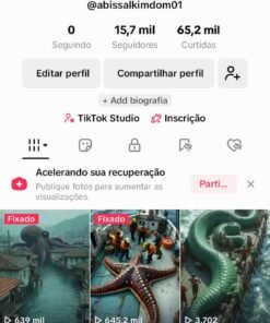 TTK Account 15.8K Seguidores 66.2K Curtidas abissal kimdom