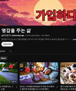 Oportunidade: Canal 9.7k de Histórias Inspiradoras e Emocionantes sobre Animais (영감을 주는 삶 - BeomKyungh)