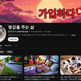Oportunidade: Canal 9.7k de Histórias Inspiradoras e Emocionantes sobre Animais (영감을 주는 삶 - BeomKyungh)