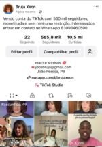 Conta tiktok 565mil seguidores 10.5M Curtidas - Rendendo bem - Imagem 2