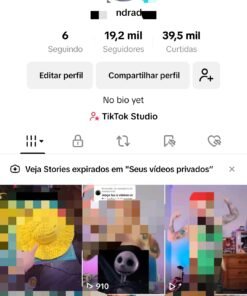 Conta do TikTok monetizado com 19.200 seguidores