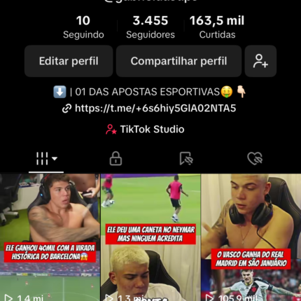 CONTA TTK DE CLIPS 3457 Seguidores 163.5K Curtidas