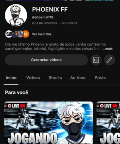 Canal de jogos no YouTube 87,3 mil inscritos