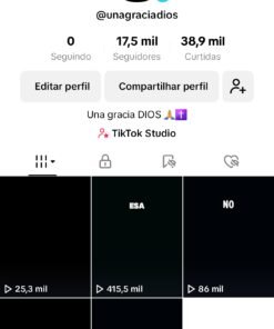 TikTok 17 mil seguidores monetizado