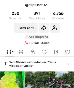 Conta Tik tok 891 Seguidores