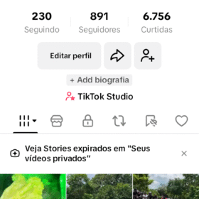 Conta Tik tok 891 Seguidores