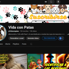 Canal Youtube 990 inscritos de Pets em Espanhol Vida con Patas