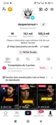 Conta em Constante Crescimento – Pronta pra Explodir! 15,1 mil Seguidores