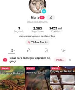 CANAL YOUTUBE 458 inscritos + CONTA TIKTOK