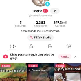 CANAL YOUTUBE 458 inscritos + CONTA TIKTOK