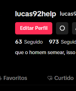 Lucas tik tok 1073 Seguidores