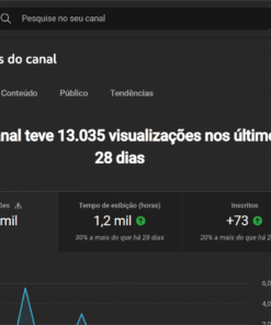 CANAL YOUTUBE 133 INSCRITOS / COM FUTURO PROMISSOR PELA FRENTE