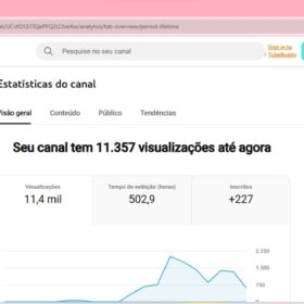 Canal https://www.youtube.com/@guaMarinaTarot 233 assinantes