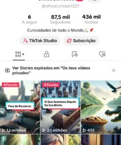 Conta Tiktok MONETIZADA 87k Seguidores