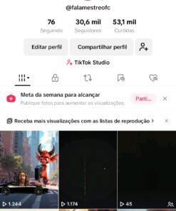 CONTA TIKTOK RECÉM MONETIZADA LIMPA 31.5K Seguidores 54.5K Curtidas
