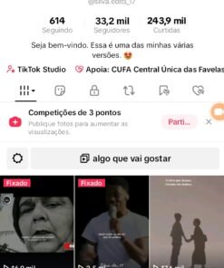 Conta tiktok 33,2 mil Seguidores
