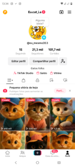 Conta Tik Tok monetizada 21.3