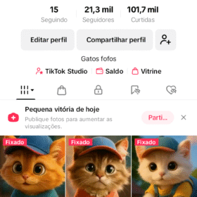 Conta Tik Tok monetizada 21.3