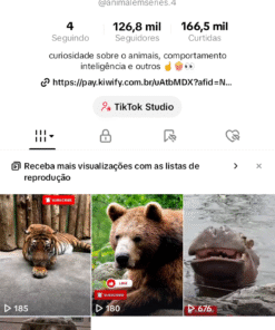 Conta tiktok 125.2K Seguidores 166,5K Curtidas